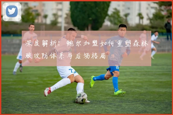 深度解析:鲍尔加盟如何重塑森林狼攻防体系与后场格局
